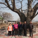 뒷들 경로당 이미지