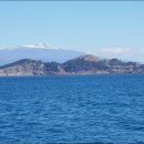 송악산 숲길 이미지