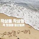 나의 창 | 착상통 착상혈도 없었던 나의 임신 후기