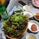안기기사식당