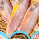 군산박대왕 이미지