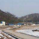 담안 Daum카페