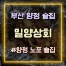 양정상회 이미지