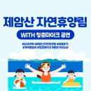 통기타(주간) | 보성 제암산 자연휴양림 여름휴가 후기 – 물놀이, 청춘마이크 공연, 청광도예원 한정식까지
