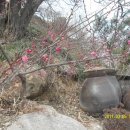 달아공원 이미지