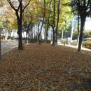 신매공원 이미지