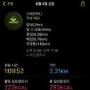 크레이지 서퍼스