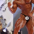 스밀로짐 이미지