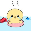 미므미므 이미지