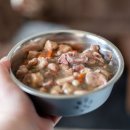 기흥동물병원 이미지