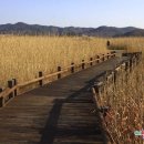 공정여행 서천구경