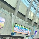 원밀리언디포2 | 벡스코 2026 부산브랜드페스타 후기 + 부산밀리언쇼