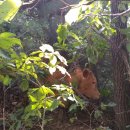 갈곡농장 | 갈곡마을 송아지 실종(?)사건