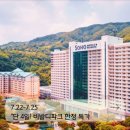 소노펠리체 빌리지 A~D 비발디파크 이미지