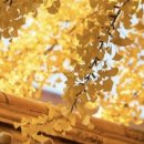 압구정퀸약국 이미지