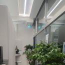 맑음약국 | 장안동 오늘도맑음약국 갔다 왔습니다! 너무 이쁘고 처방 조제 잘해주는 약국 맛집.