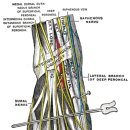인하정형외과의원 이미지