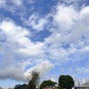 뉴발리 노래연습장 | (3)발리여행_ 선셋 디너 후기/ 렘푸양 사원/ 띠르따 강가/ 스노쿨링/ 박쥐 사원/ 한식으로 마무리