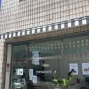청주 신상 복대동 카페 '까네꼬르' 소금빵, 디저트 맛집 | 애견동반 카페 내돈내산 후기
