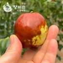 팔복조