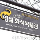 영월화석박물관 이미지