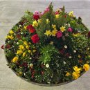 광주시청 이미지