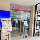 그랜드밀리언스호텔서귀포 | 제주도 하루 26,000원 실화? 그랜드 밀리언스 호텔 초특급 가성비 후기