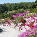 수원목장 이미지