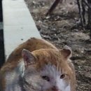 두류3동행정복지센터 이미지