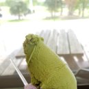 경식목장 이미지