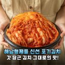 형제실비 | 당일 생산 신선함 그대로! 해남형제들 포기김치 솔직 후기