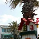 제주또올레 이미지