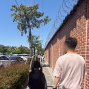 진해구 ⓐ-12 | 창원 진해 해군교육사령부 어린이날 행사 후기 (주차, 준비물 꿀팁)