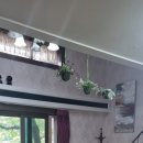 배내골 휴펜션 이미지