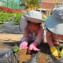 장등초등학교 이미지