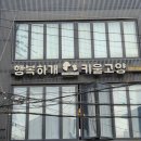 행복하개키울고양 네이버블로그