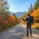 천제단 | 태백산 단풍 구경, 유일사-천제단 최단 코스 솔직 후기