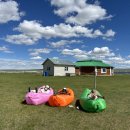 스타트레블 이미지