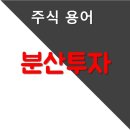 [주식 용어] 분산투자 이미지