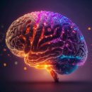 충격적인 실험: 인간의 두뇌가 컴퓨터에 전원을 공급하도록 강제됨 이미지