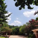 태전공원 이미지