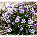 남양농장 이미지