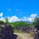 신효마을회관 이미지