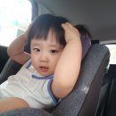 애빠 | 26개월 아기발달 키, 몸무게, 느린 언어 그리고 알파벳