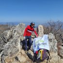 숲 안으로 : 부산오산종주(65.9km, 22시간대), 개인산행입니다. 이미지