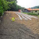 하장대리농장 이미지