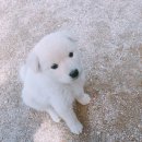 내산뜰 이미지
