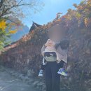 공룡약국 | 워킹맘 일상 pic drop 23.10