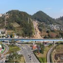 팔마체육관 이미지