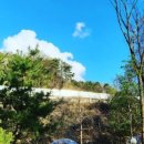 모닥불가든 이미지